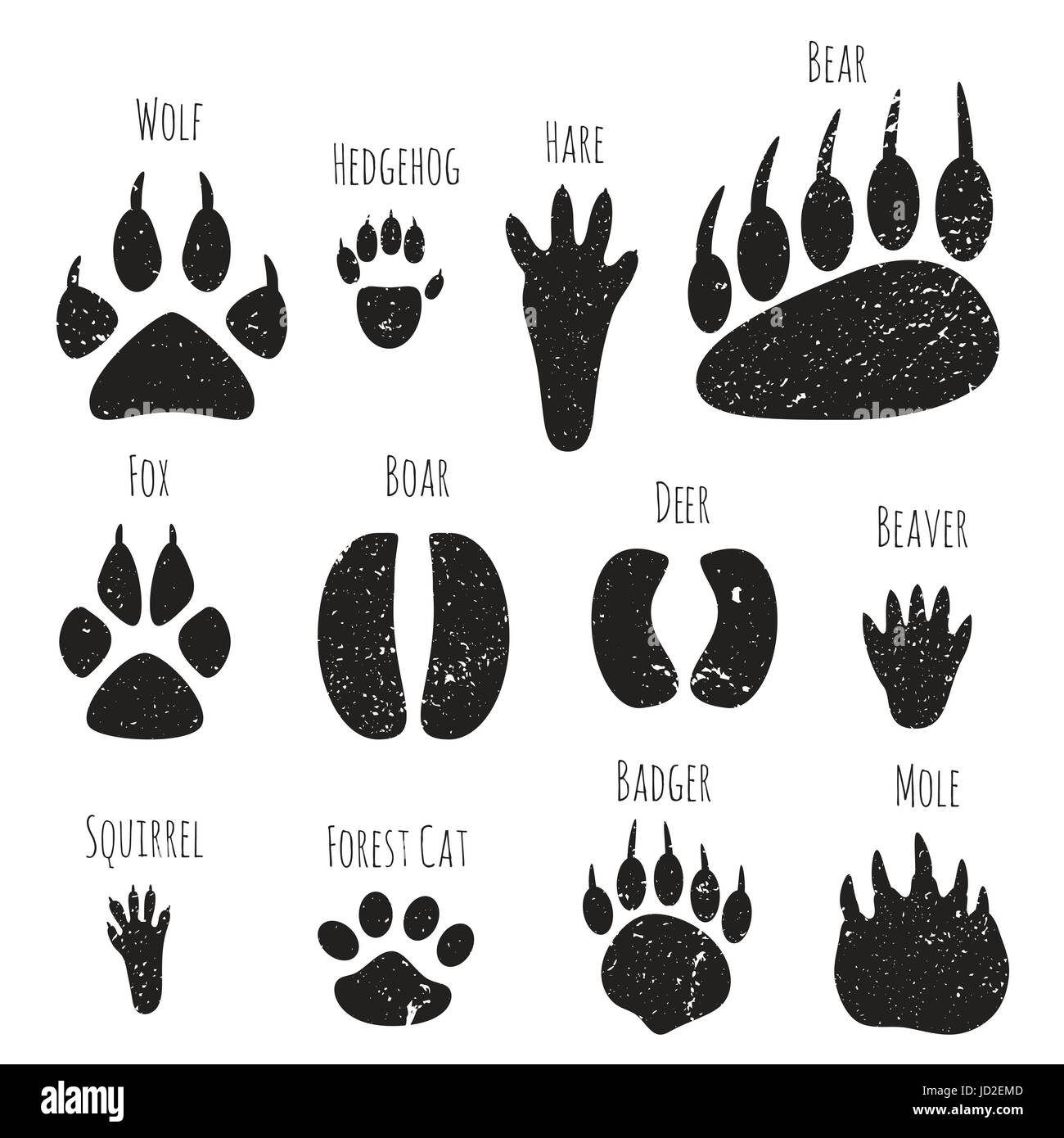 Empreintes D Animaux De La Forêt à Imprimer