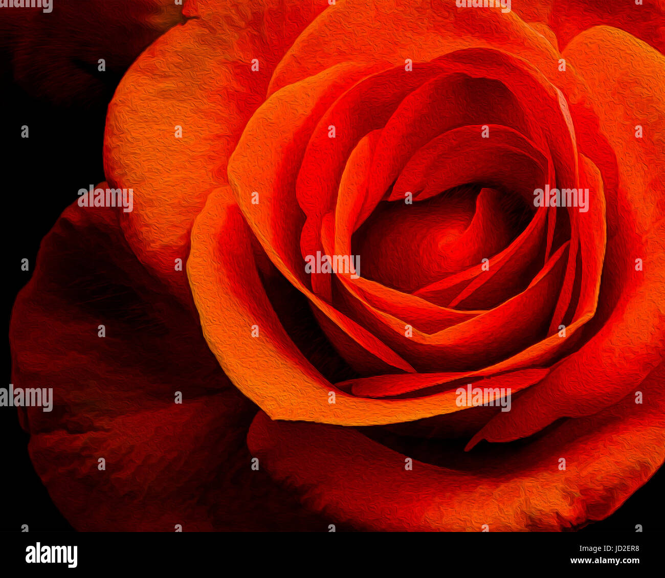 L'ART NUMÉRIQUE : Rose rouge Banque D'Images