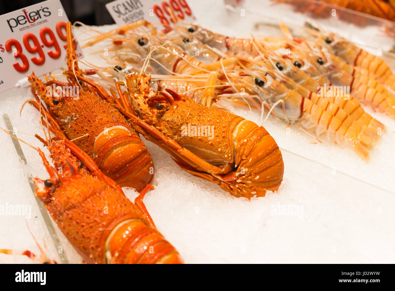 Le homard à la vente à Sydney Fish Market, Pyrmont, Sydney, Australie. Banque D'Images