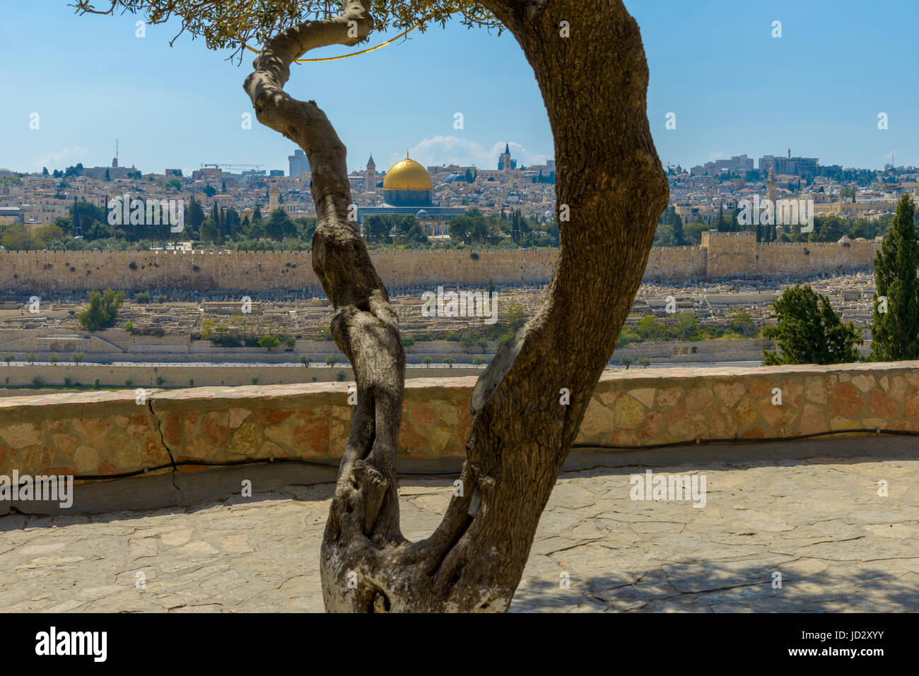 Vue panoramique sur la vieille ville de Jérusalem et le Mont du Temple, Dôme du Rocher et la mosquée Al Aqsa du Mont des Oliviers à Jérusalem Banque D'Images