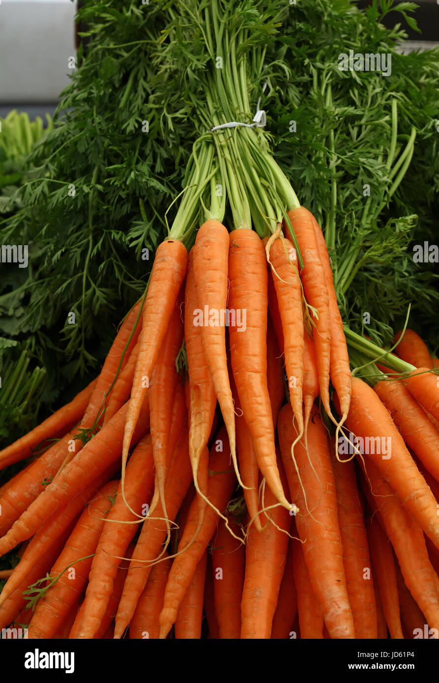 Des tas de nouveaux frais carottes orange vert printemps avec feuilles de tête sur le marché de détail Affichage de décrochage, Close up, high angle vue avant Banque D'Images