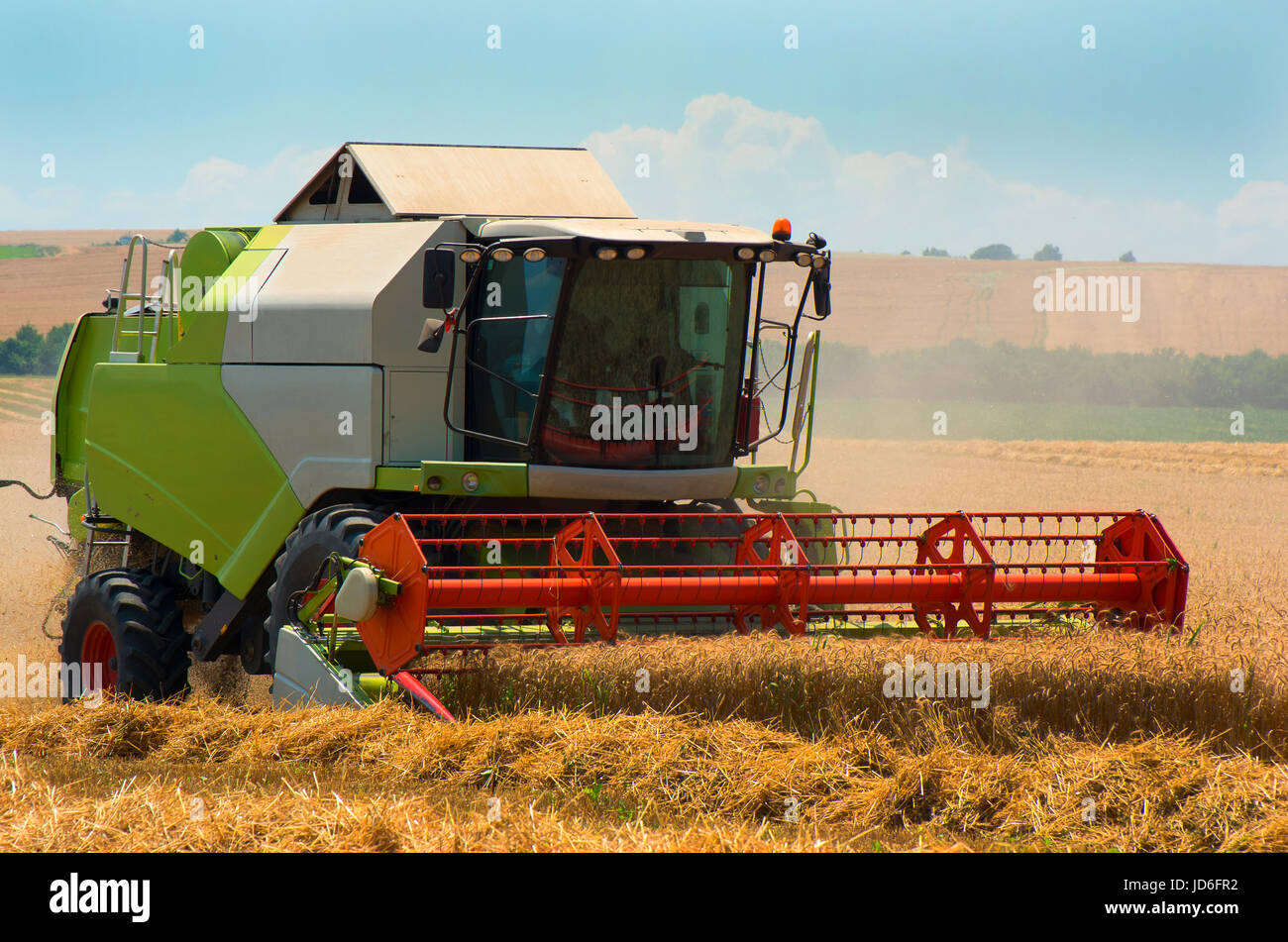 La récolte de céréales avec une moissonneuse-batteuse. Champ de blé. Banque D'Images