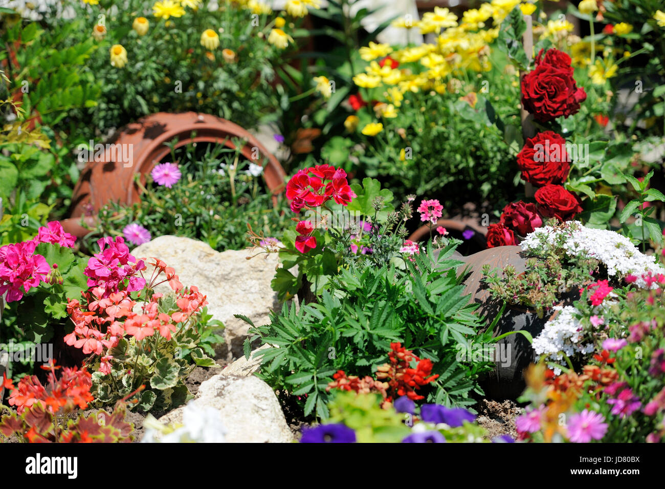 Paysage luxuriant jardin avec lit de fleurs et plantes colorées Banque D'Images