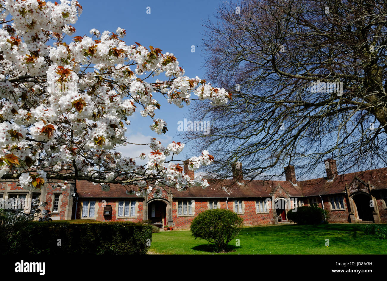 Dans Wareheam hospices débutée, Dorset, Angleterre Banque D'Images