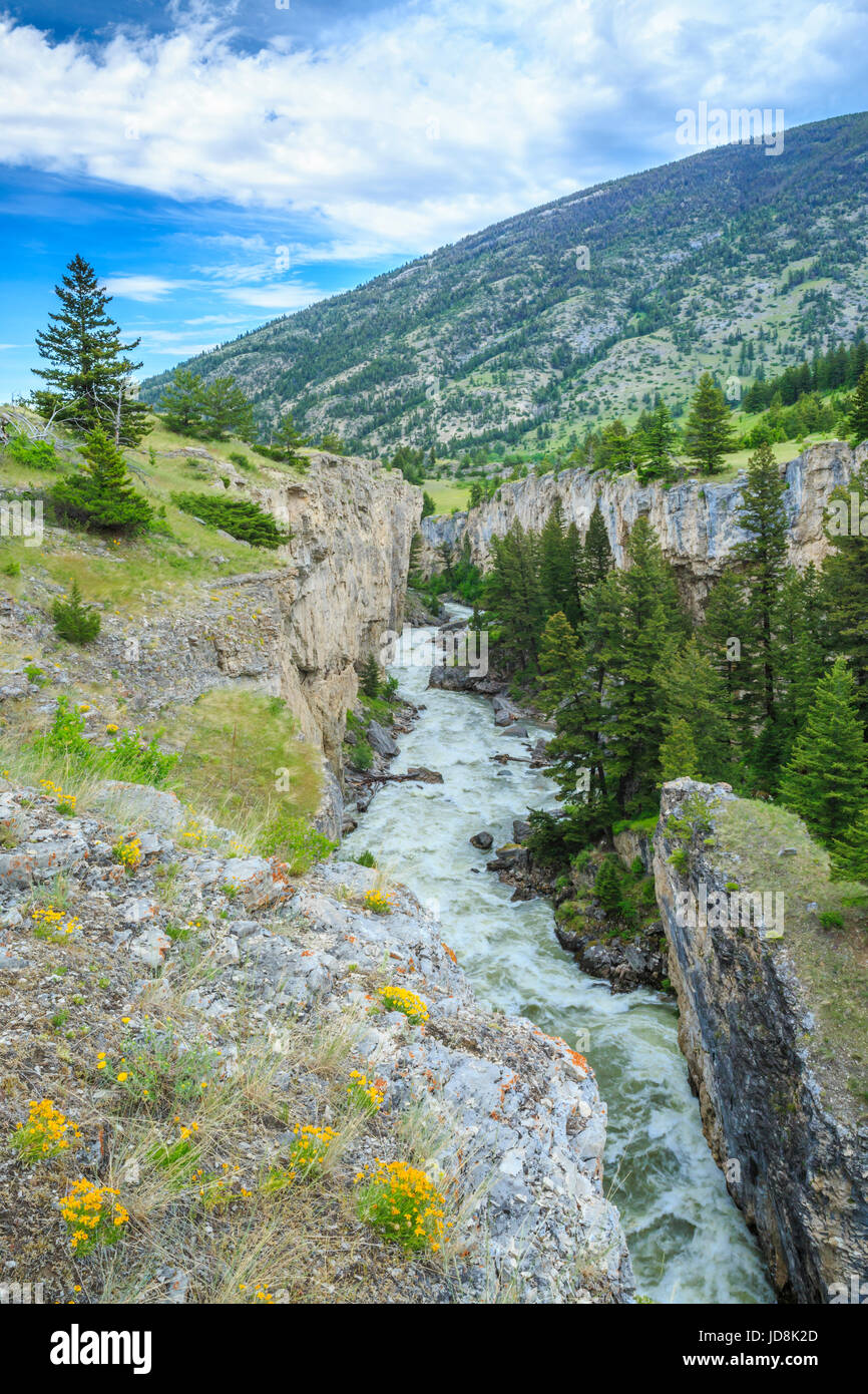 Dans la rivière Boulder Boulder canyon ci-dessous tombe près de Big Timber, Montana Banque D'Images