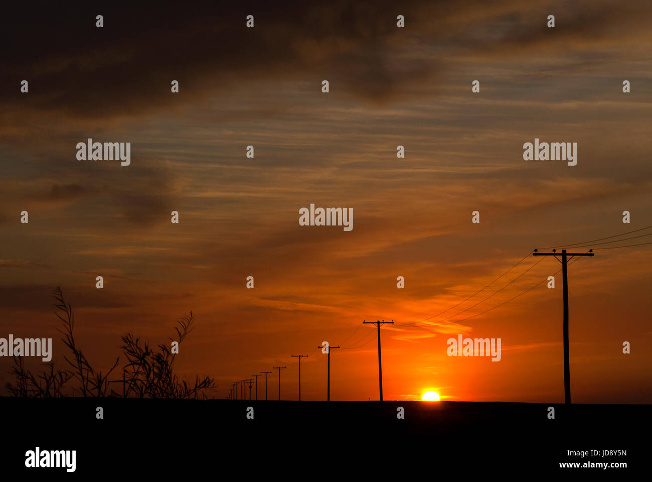 Des poteaux électriques en prairie sunset Banque D'Images