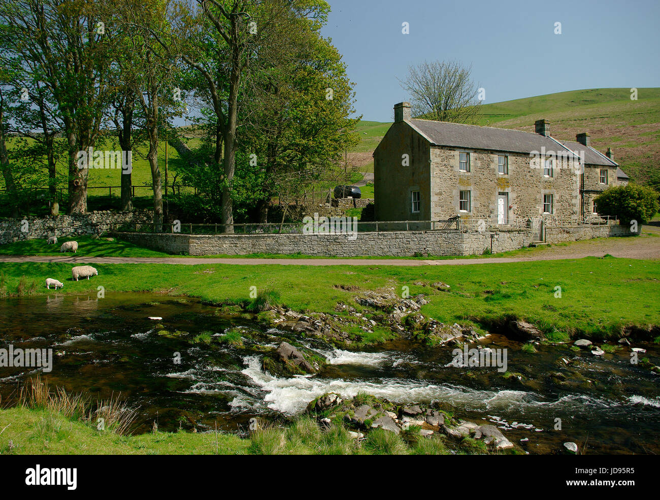 Hill Farm, Northumberlan Banque D'Images