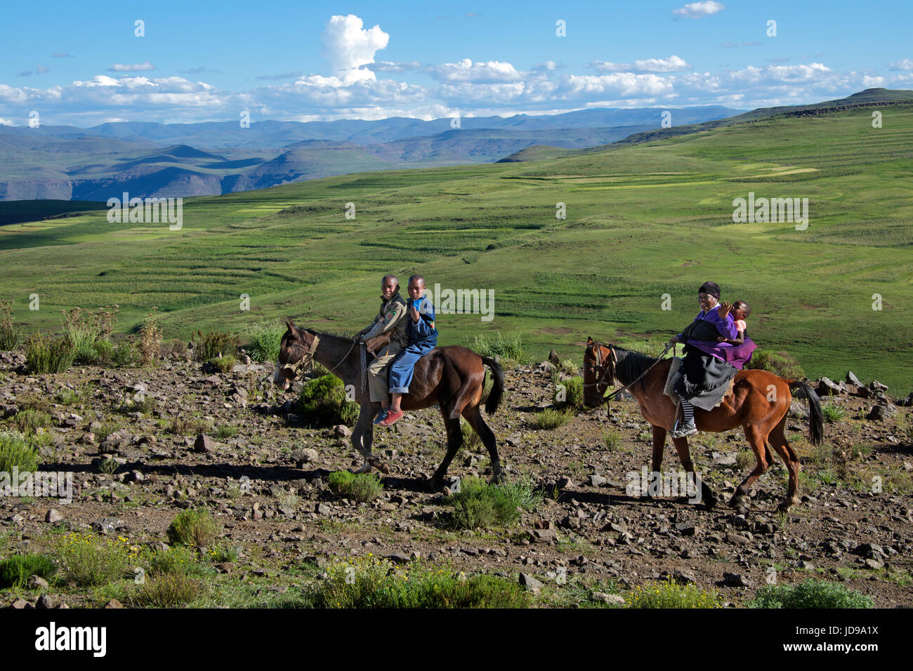 Les sections locales sur les chevaux Mohales Hoek District Lesotho Afrique du Sud Banque D'Images