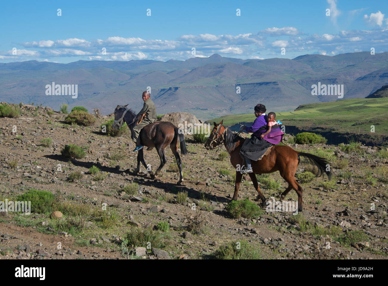 Les sections locales sur les chevaux Mohales Hoek District Lesotho Afrique du Sud Banque D'Images