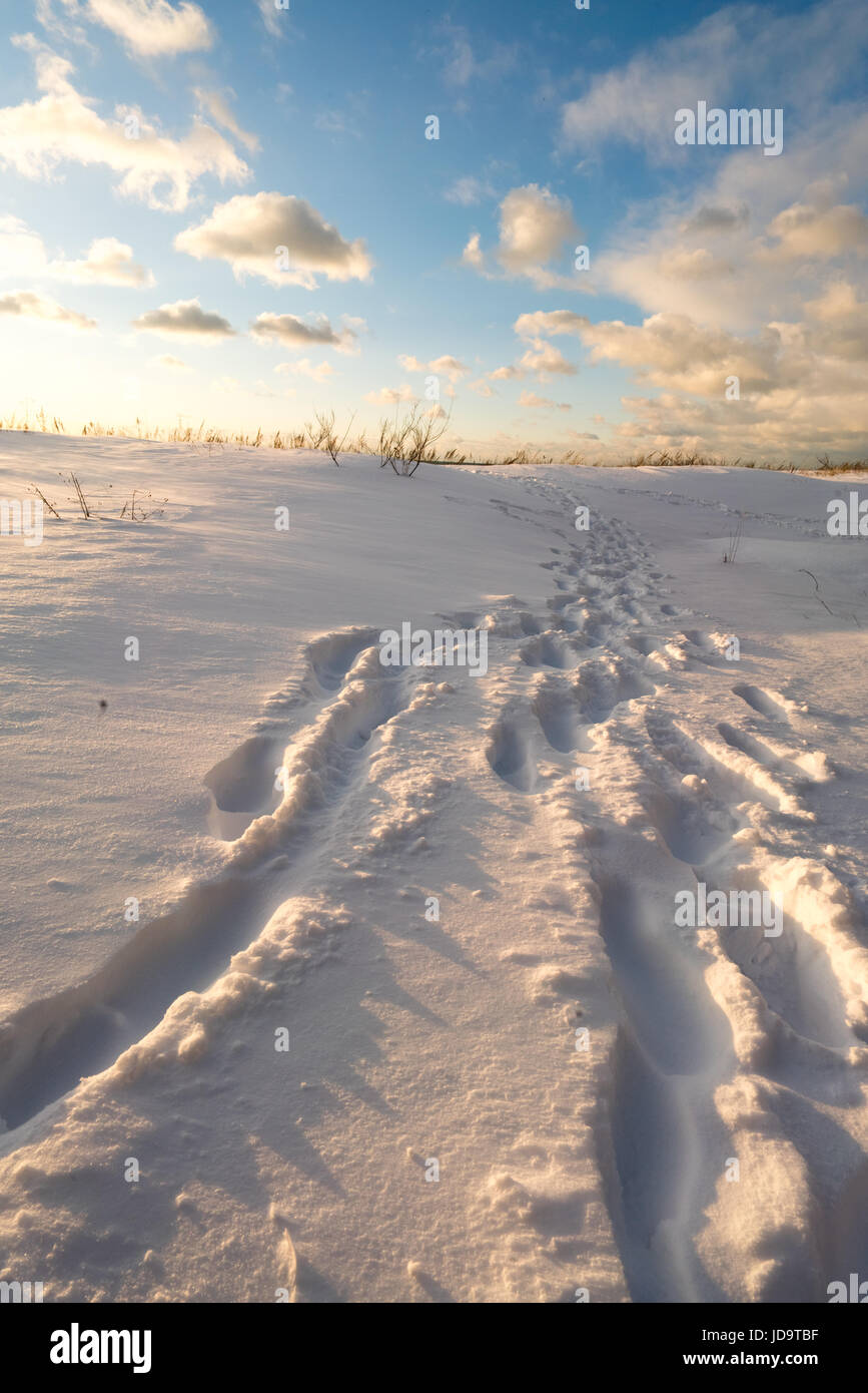 Footprints in snow menant dans le lointain ciel bleu avec nuages duveteux Ontario Canada ontario canada froid hiver neige 2017 Banque D'Images