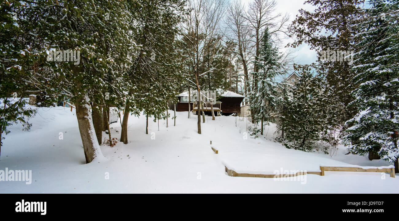 Chalet dans la forêt couverte de neige, la neige vierge en premier plan, l'Ontario, Canada ontario canada hiver froid neige 2017 Banque D'Images