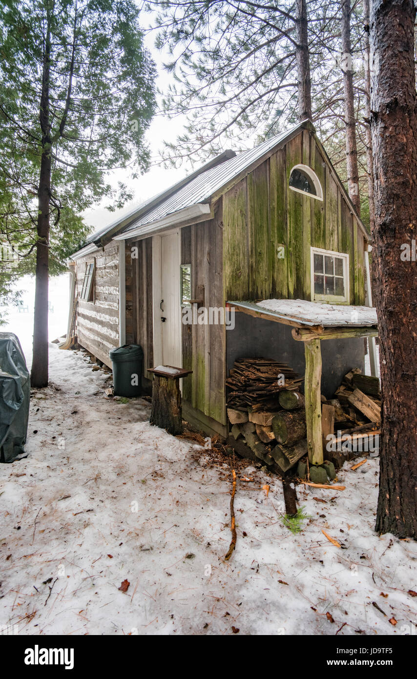 Cabine à l'extérieur, dans les bois en hiver, journée ensoleillée, l'Ontario, Canada. ontario canada hiver froid neige 2017 Banque D'Images