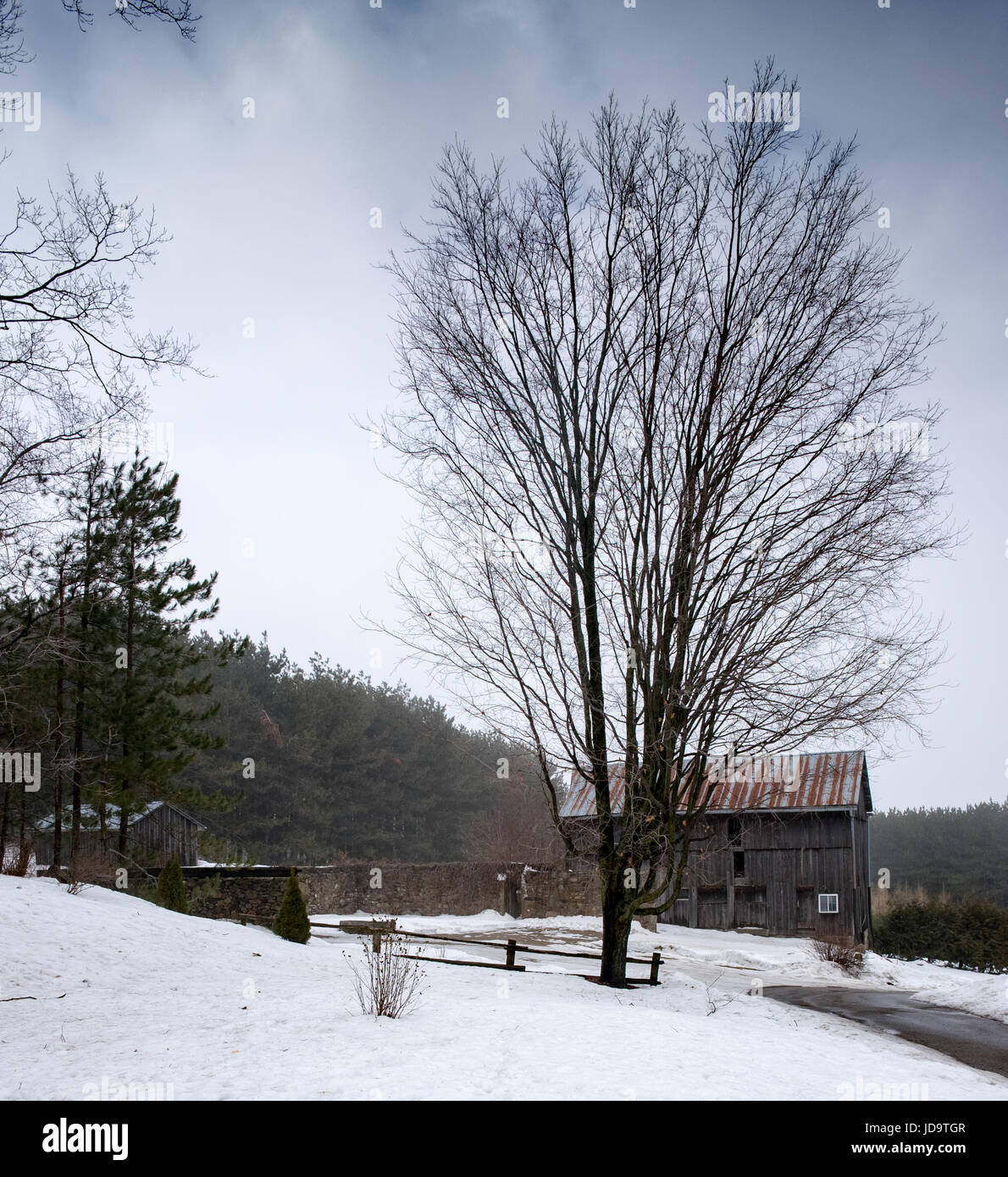 En plein air avec grange entouré par la neige et les arbres, l'hiver, l'Ontario, Canada. ontario canada hiver froid neige 2017 Banque D'Images