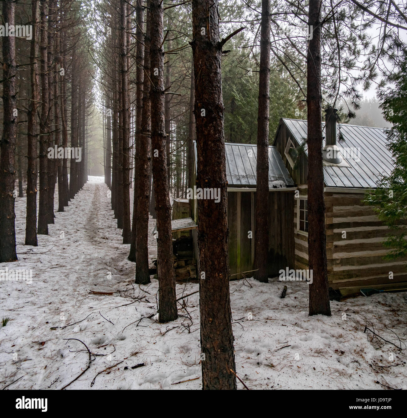 À l'extérieur à jour avec cabine en bois en hiver, l'Ontario, Canada. ontario canada hiver froid neige 2017 Banque D'Images