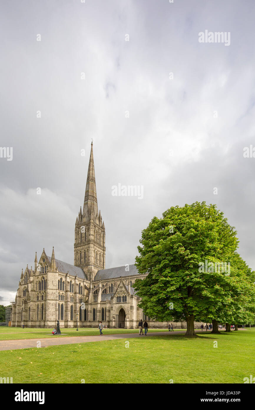 La cathédrale de Salisbury, Salisbury, Wiltshire, Angleterre, Royaume-Uni Banque D'Images