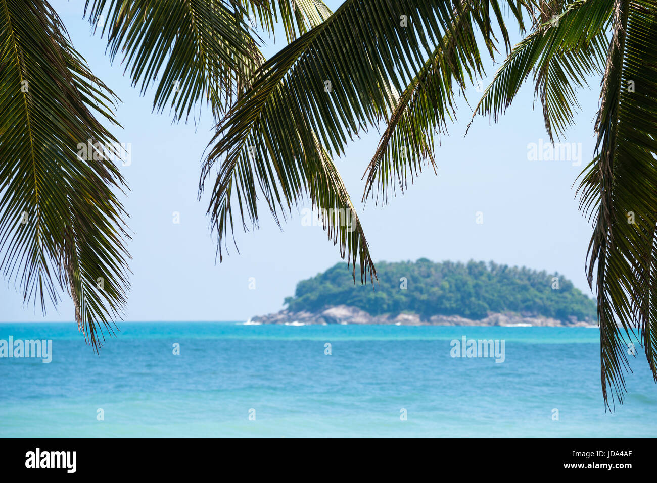 Fond de plage tropicale dans la journée avec cocotier arbre en premier plan et la mer et l'arrière-plan flou de l'île. Banque D'Images