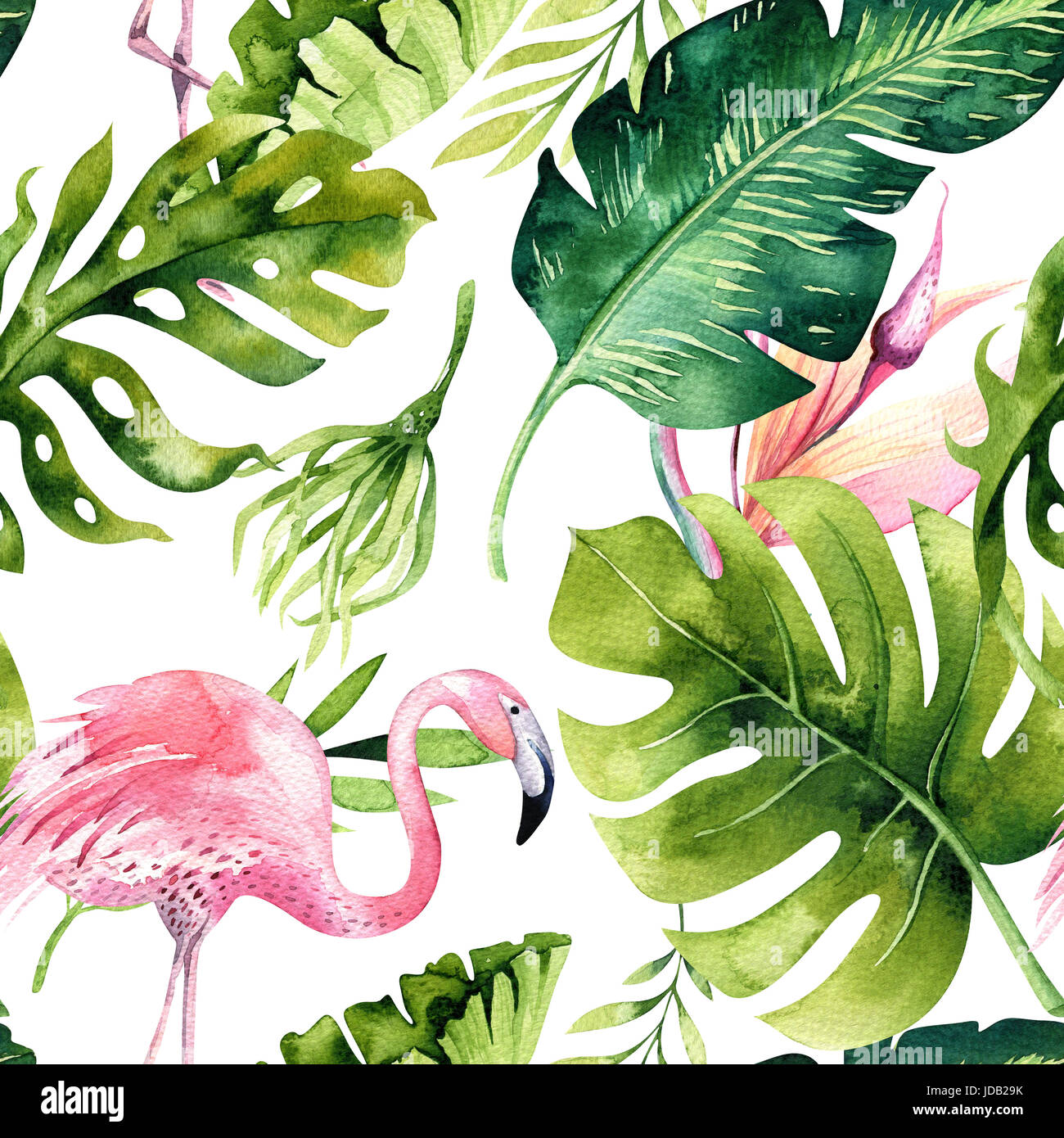 Isolé Avec Motif Transparent Tropical Flamingo Tropic