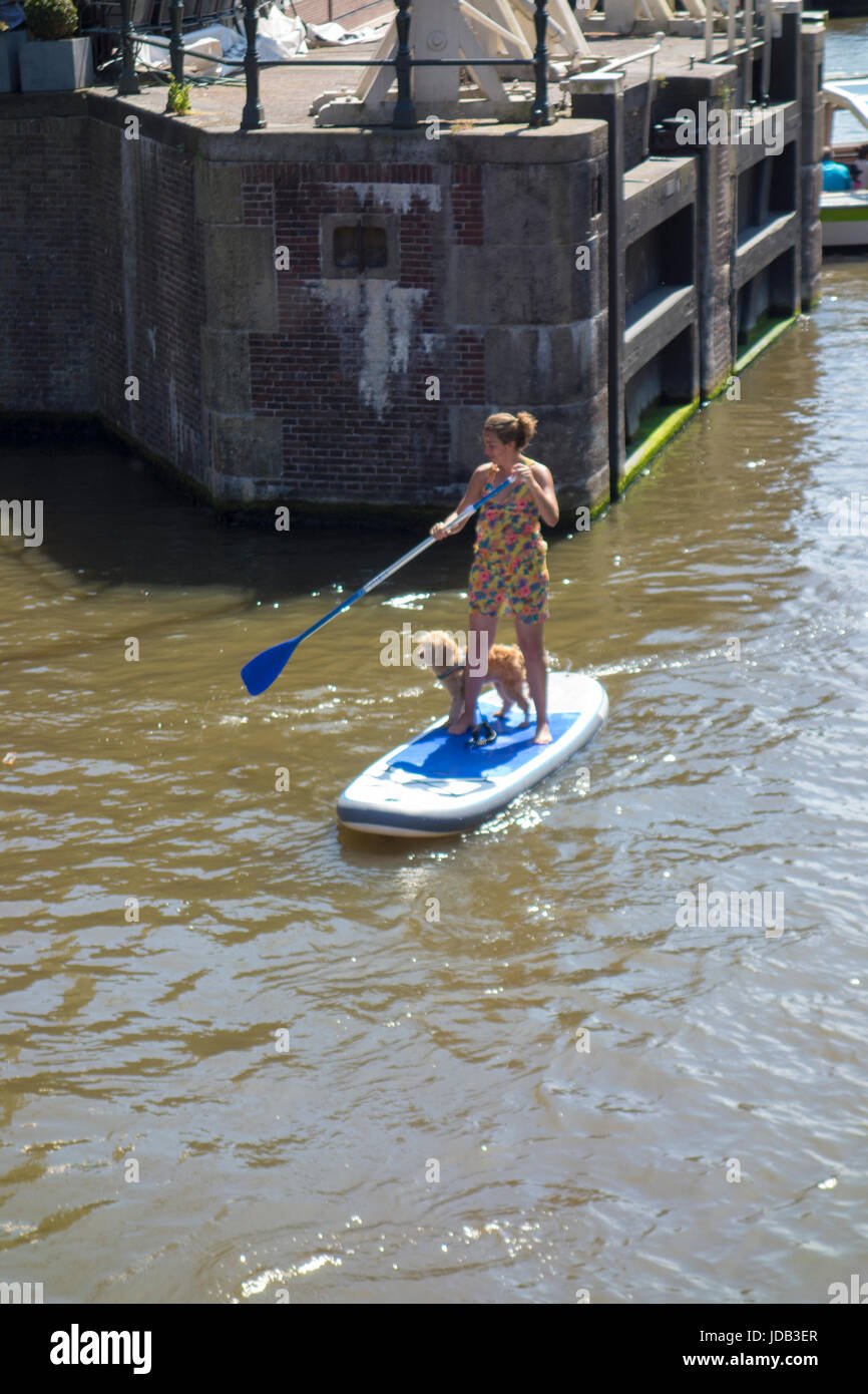 Stand up Paddling, paddle board, paddle, du canal de Prinsengracht Banque D'Images