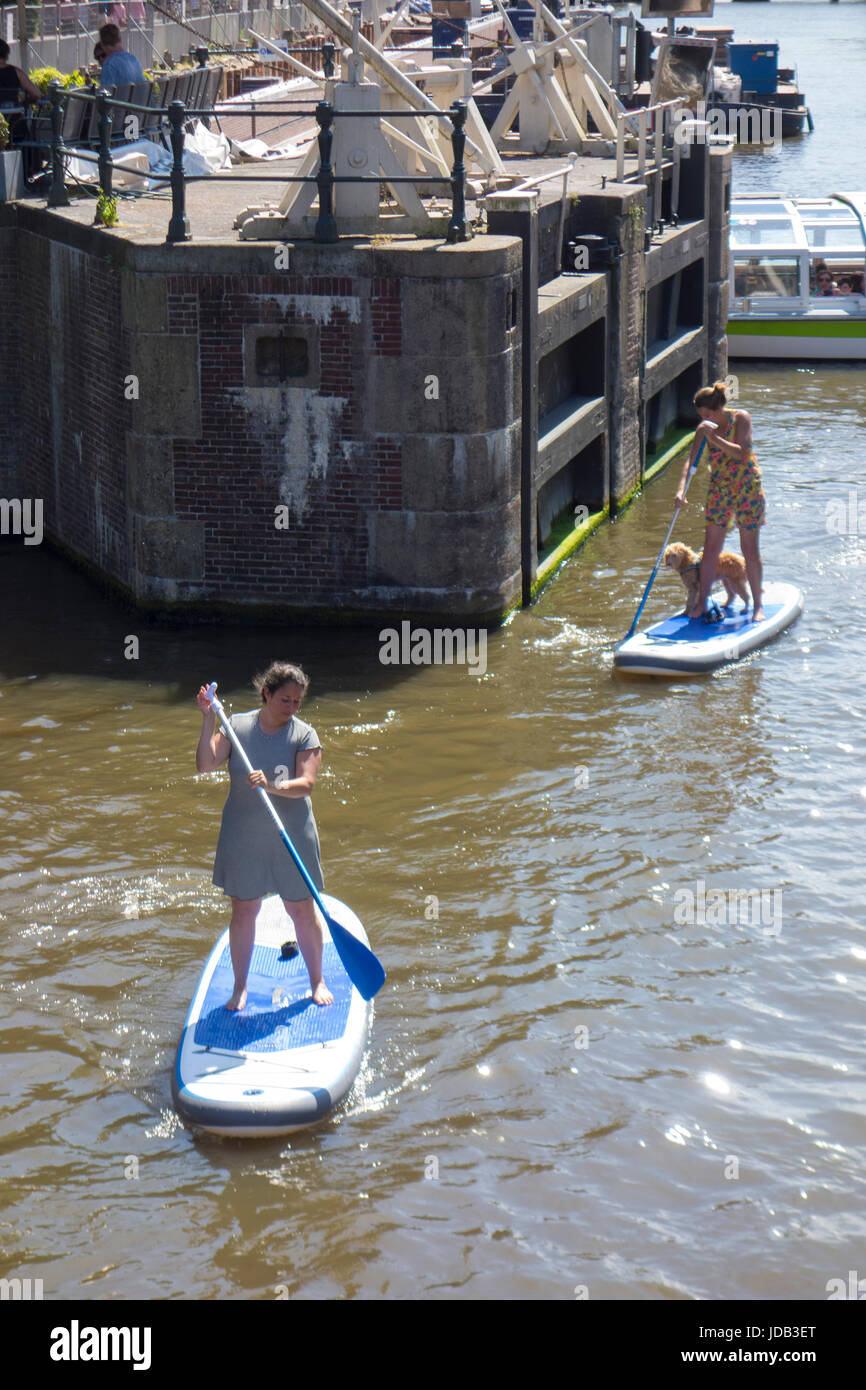 Stand up Paddling, paddle board, paddle, du canal de Prinsengracht Banque D'Images