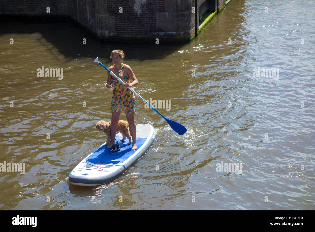 Stand up Paddling, paddle board, paddle, du canal de Prinsengracht Banque D'Images