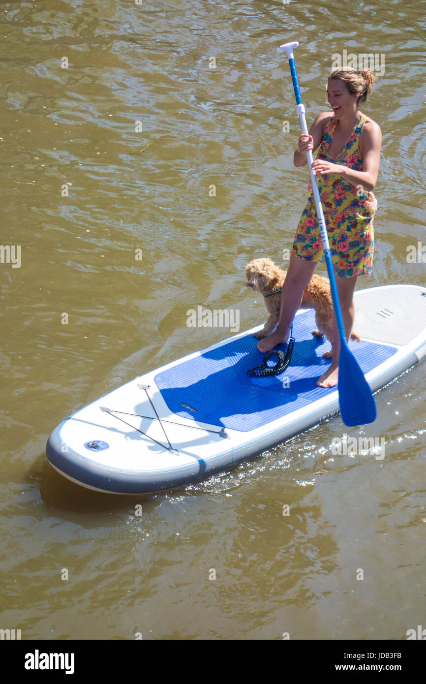 Stand up Paddling, paddle board, paddle, du canal de Prinsengracht Banque D'Images