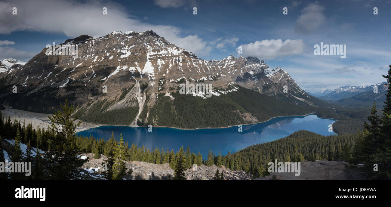 Panorama du lac Peyto Banque D'Images