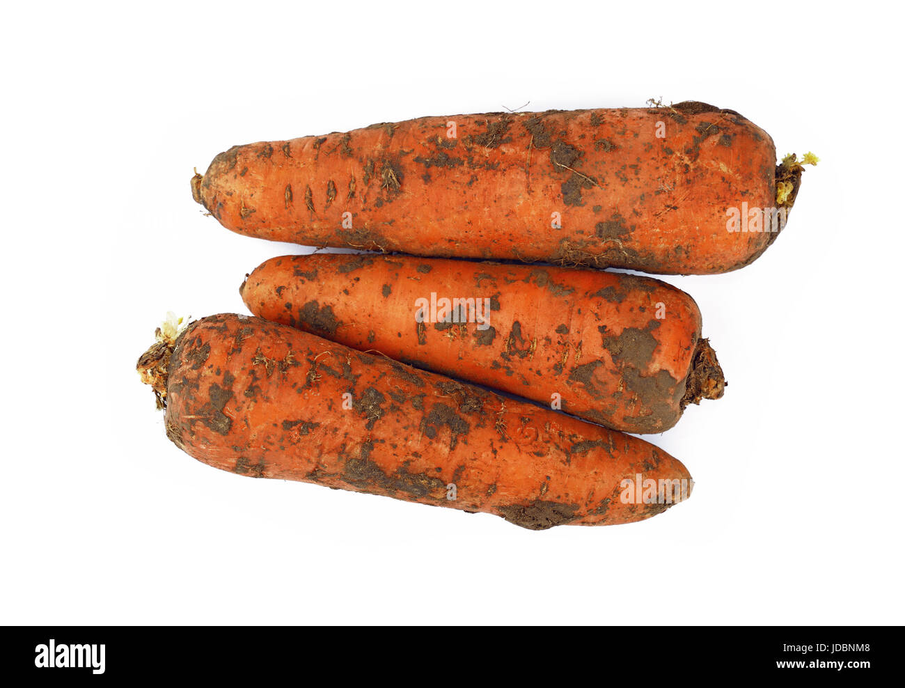 Close up of groupe de trois gros sale frais carottes en terrain isolé sur fond blanc, augmentation de la vue supérieure Banque D'Images