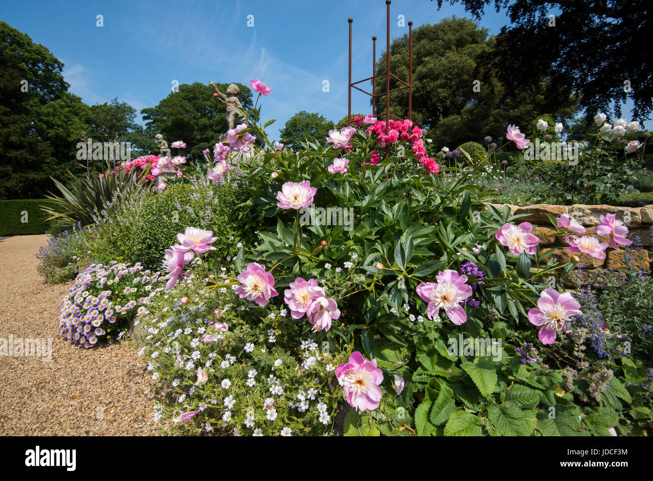 Jardin de roses en pleine floraison au Château de Belvoir, Leicestershire Angleterre UK Banque D'Images