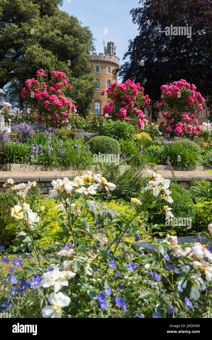 Une vue sur le Château de Belvoir à travers les jolies fleurs dans le jardin de roses, Leicestershire Angleterre UK Banque D'Images