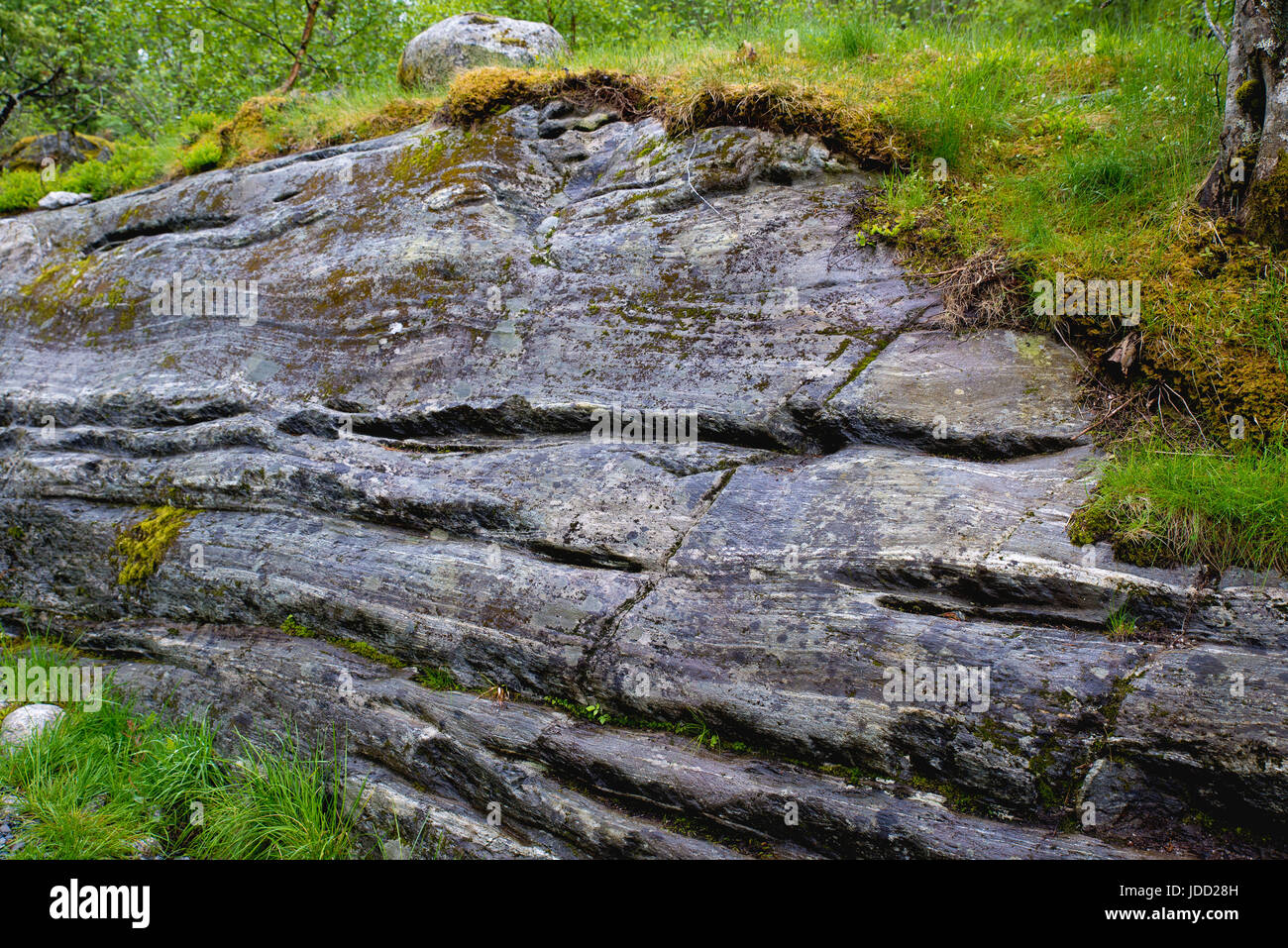 Les stries glaciaires formés lorsque l'avant de Briksdalsbreen a couvert la dalle de roche Banque D'Images
