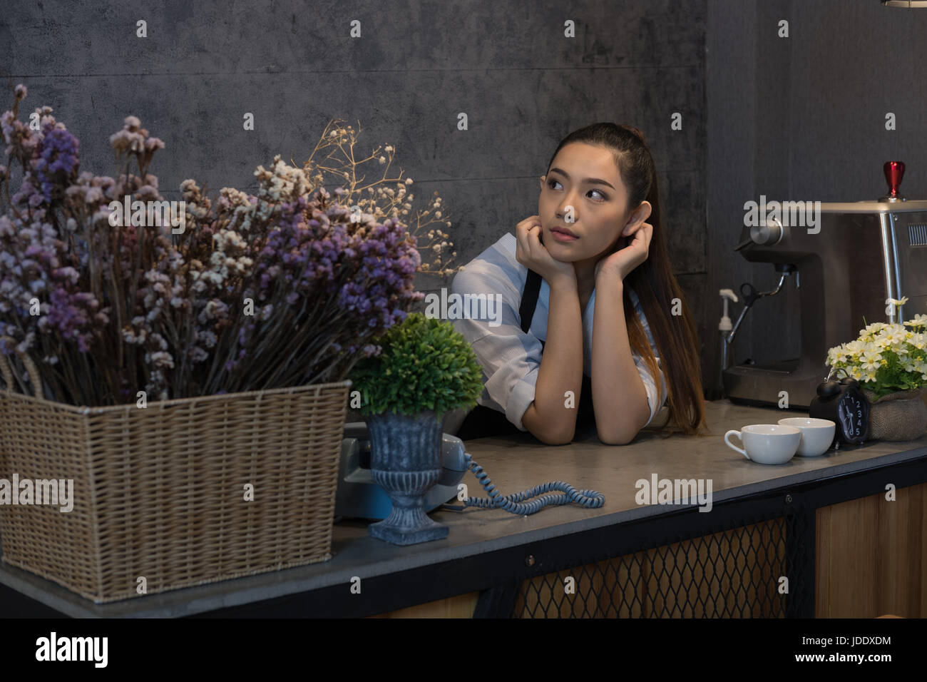 Propriétaire de petite entreprise à son café. happy asian woman standing au guichet. Jeune femme derrière le bar barista smiling in cafe Banque D'Images