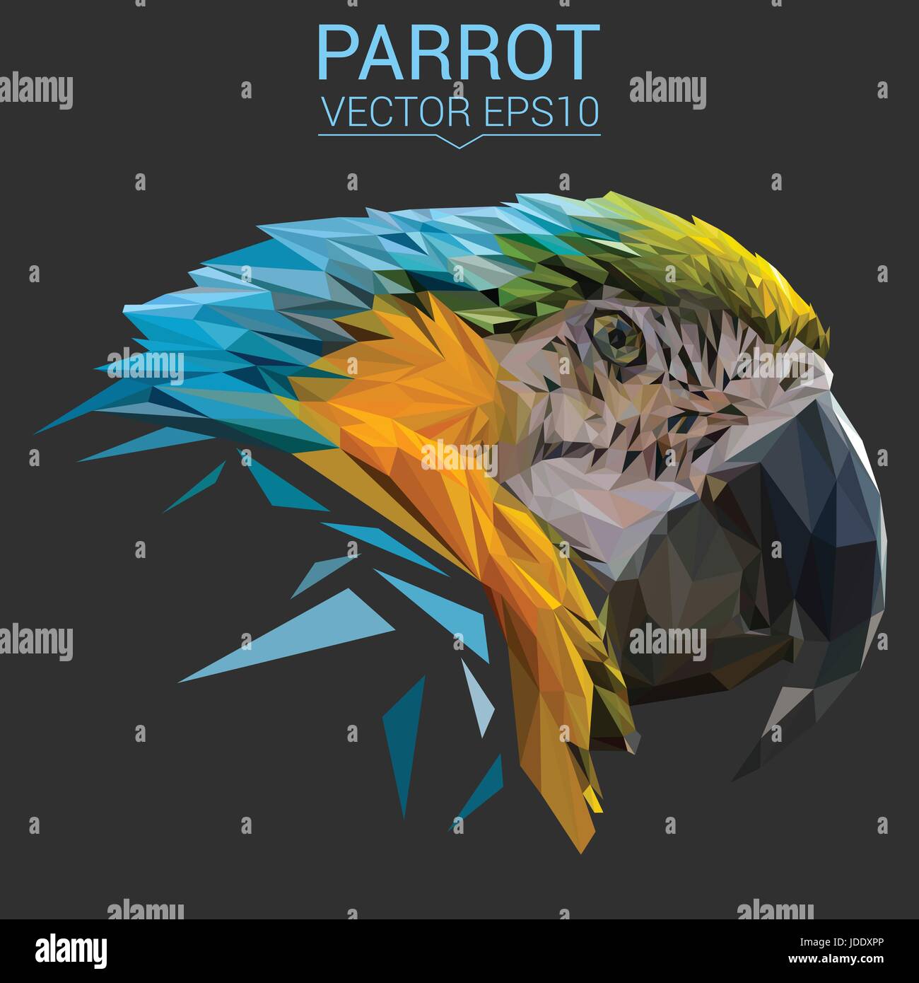 Basse design Parrot poly d'illustration vectorielle. Illustration de Vecteur