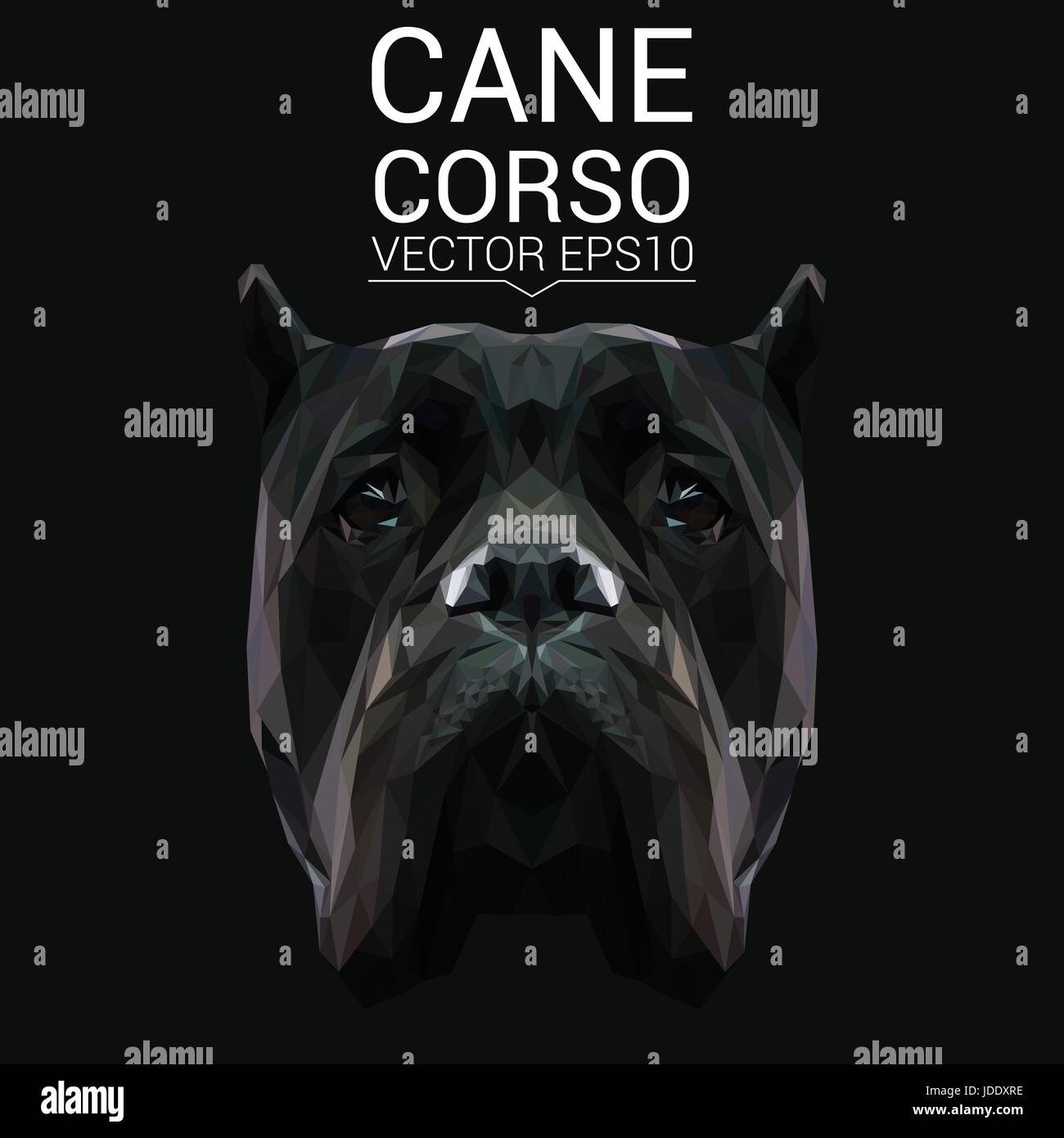 Cane Corso chien animal low poly design. Illustration vecteur de triangle. Illustration de Vecteur