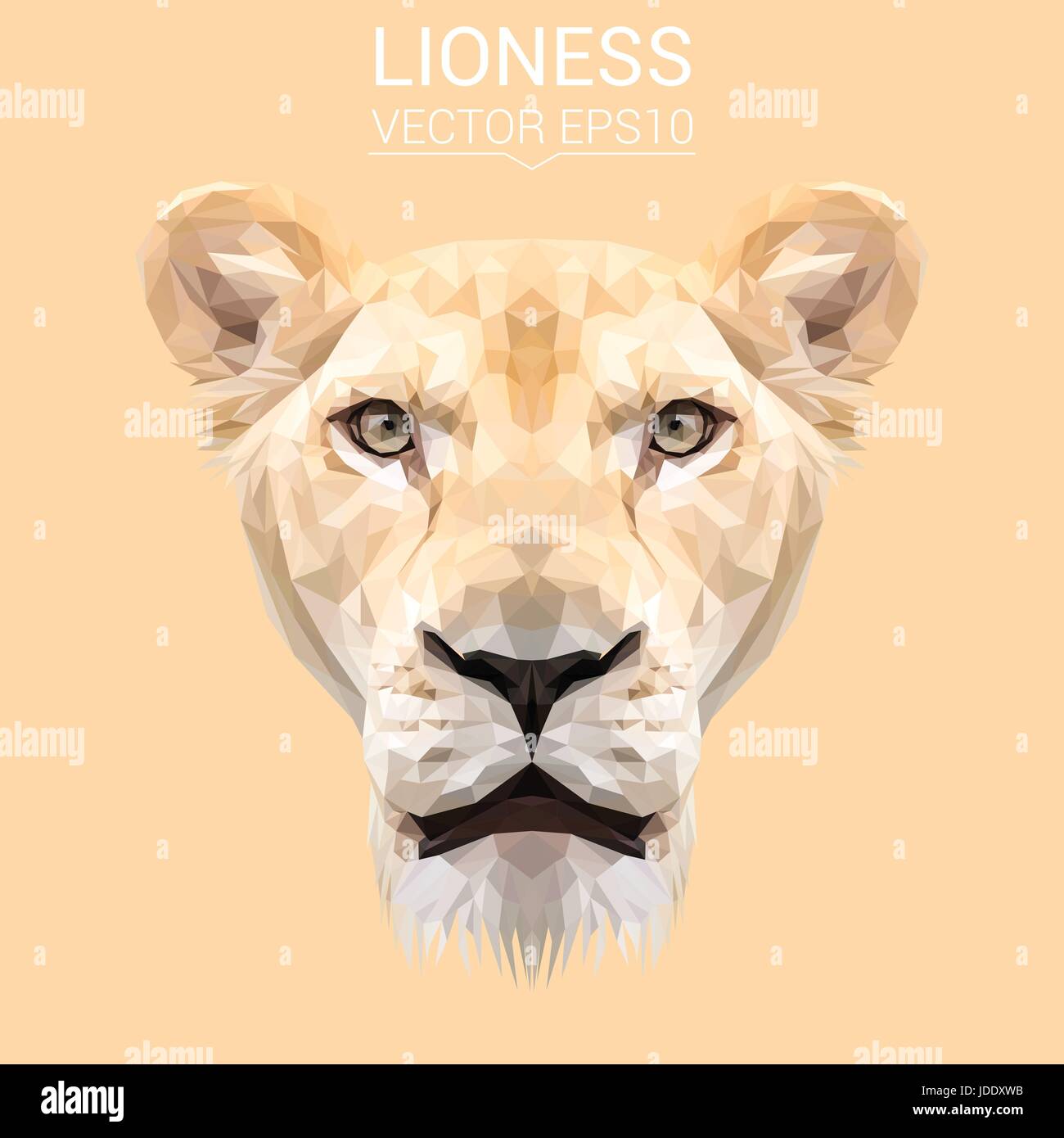 Lionne animal cat low poly design. Illustration vecteur de triangle. Illustration de Vecteur