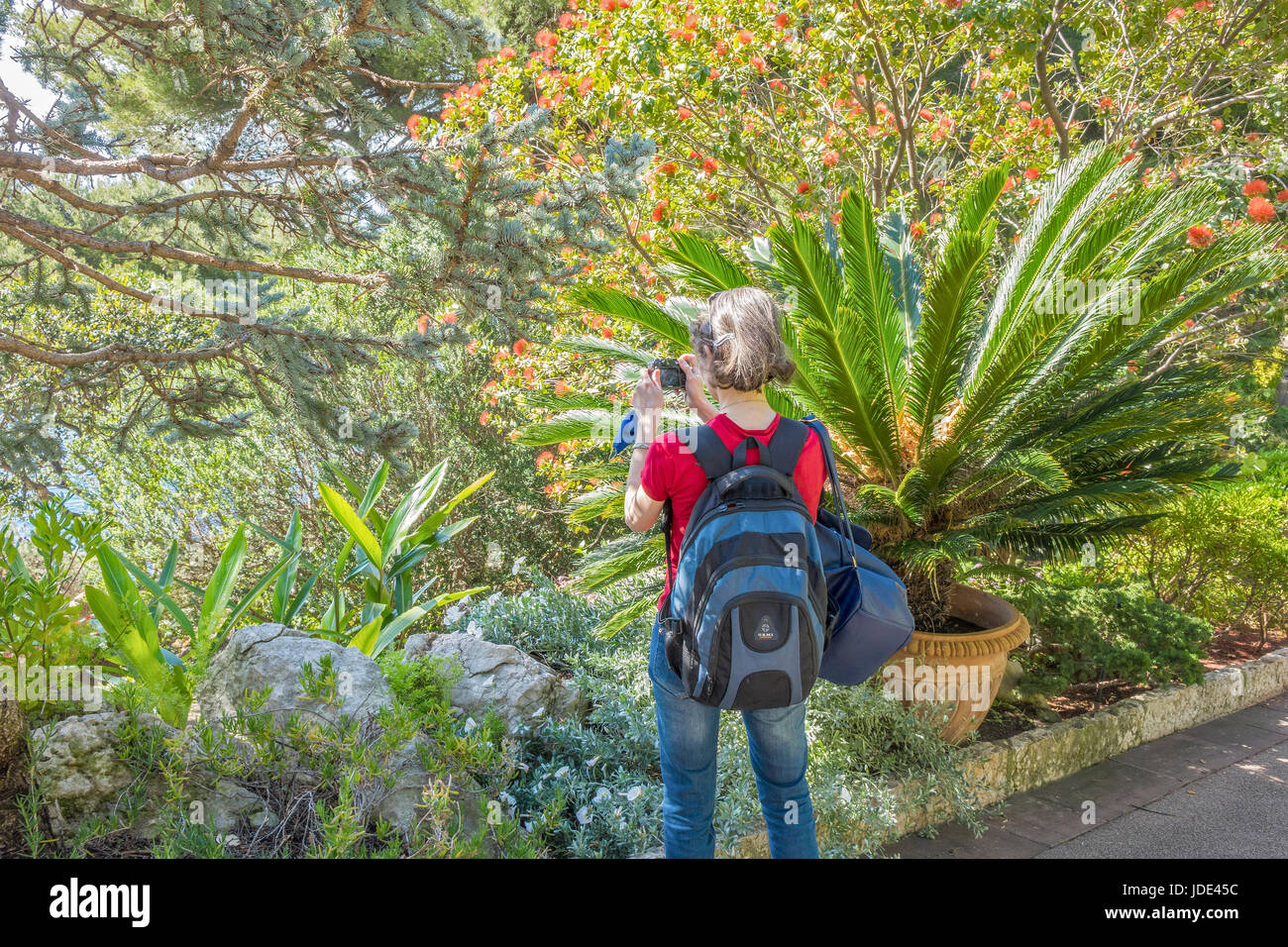 Photgrapher au travail Monte Carlo Monaco Banque D'Images