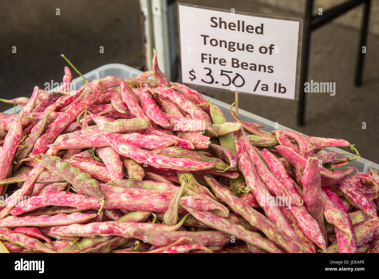 Haricots écossés Langue de feu pour la vente à un marché de producteurs à Issaquah, Washington, USA Banque D'Images