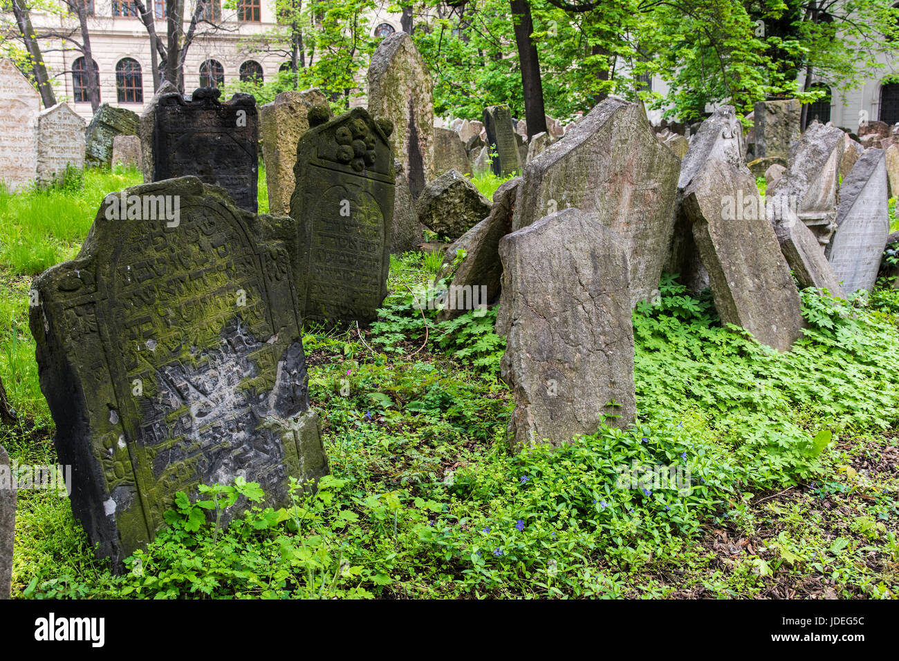 Les pierres tombales dans l'ancien cimetière juif, Prague, la Bohême, République Tchèque Banque D'Images