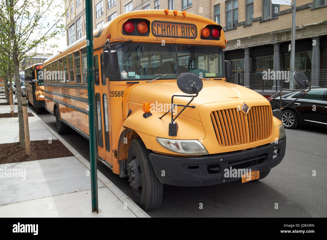 Bluebird autobus scolaire international New York USA Banque D'Images