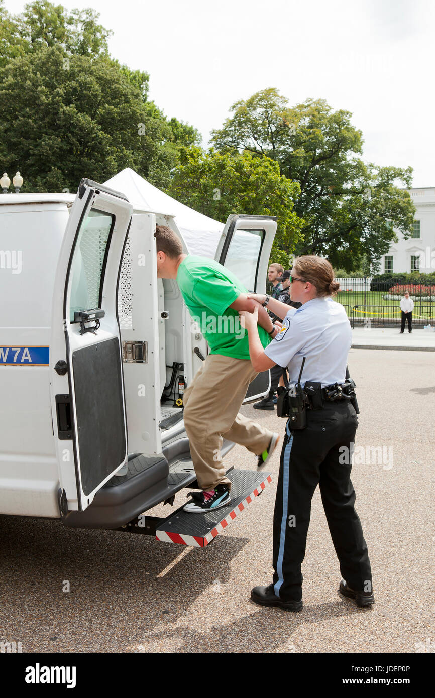 La police a arrêté un manifestant de l'environnement conduit en fourgon de police - Washington, DC USA Banque D'Images