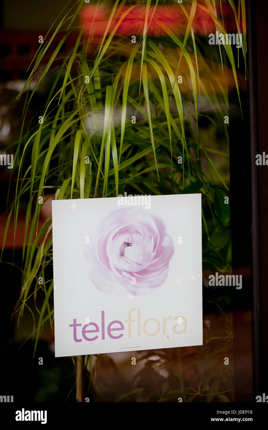 Fleuriste Teleflora signe sur l'entrée du magasin - USA Banque D'Images