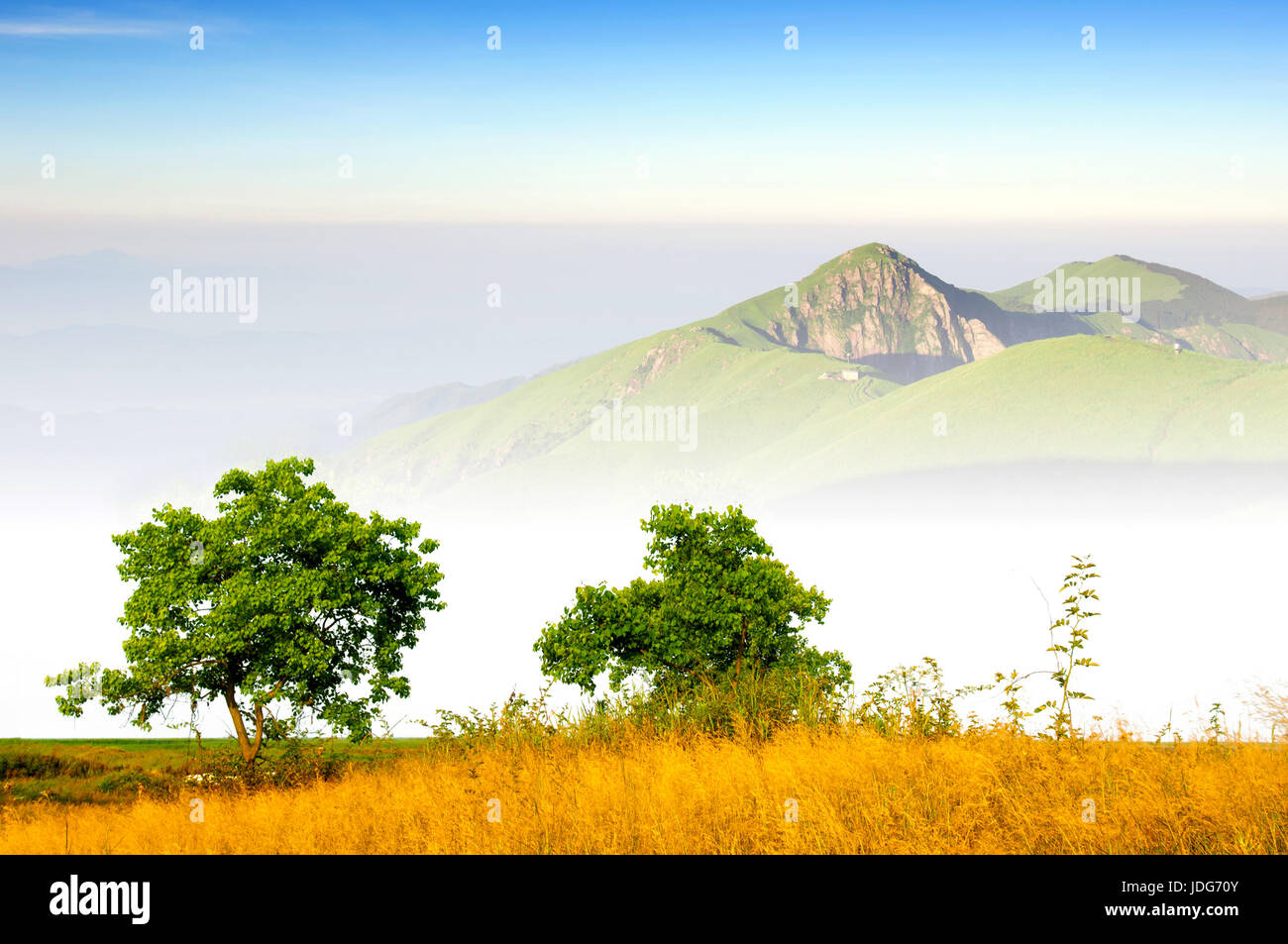 Montagnes sous le ciel bleu Banque D'Images