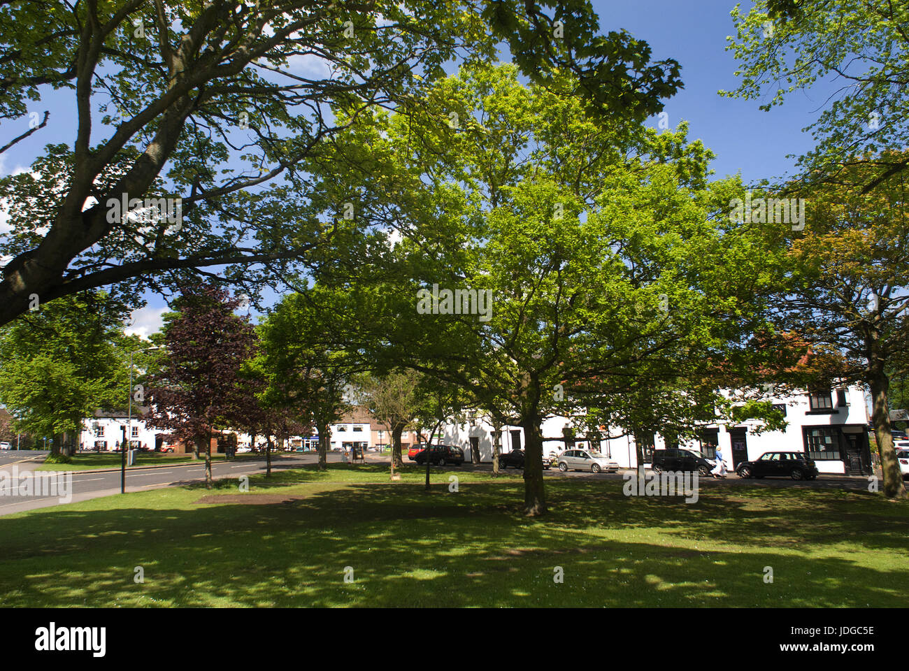 Sedgefield, County Durham Banque D'Images