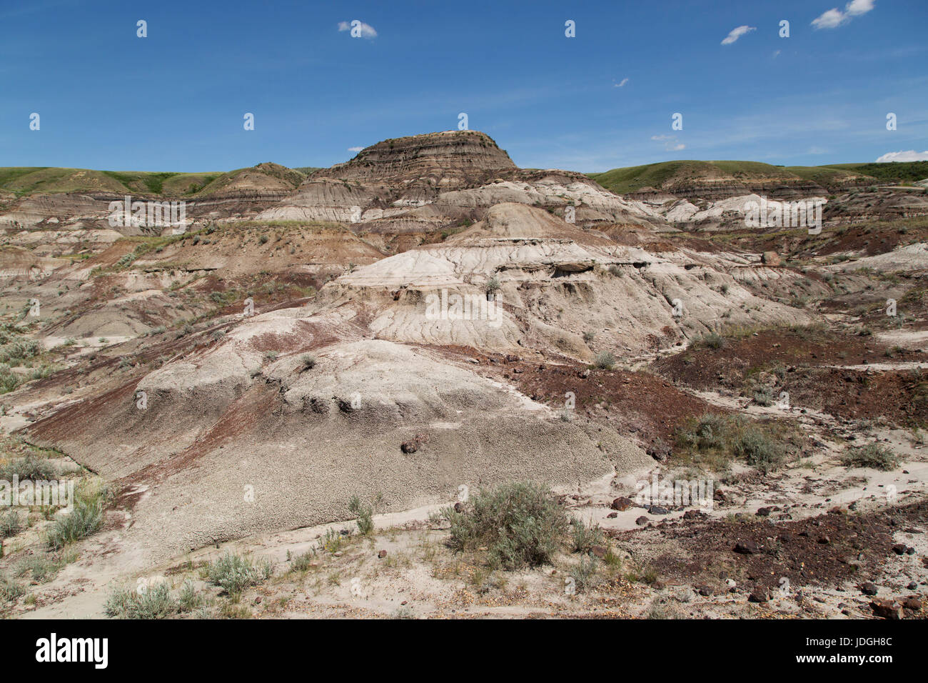 Midland Provincial Park, près de Drumheller, en Alberta, Canada. Le parc a un sentier auto-guidé pour explorer le paysage des Badlands. Banque D'Images