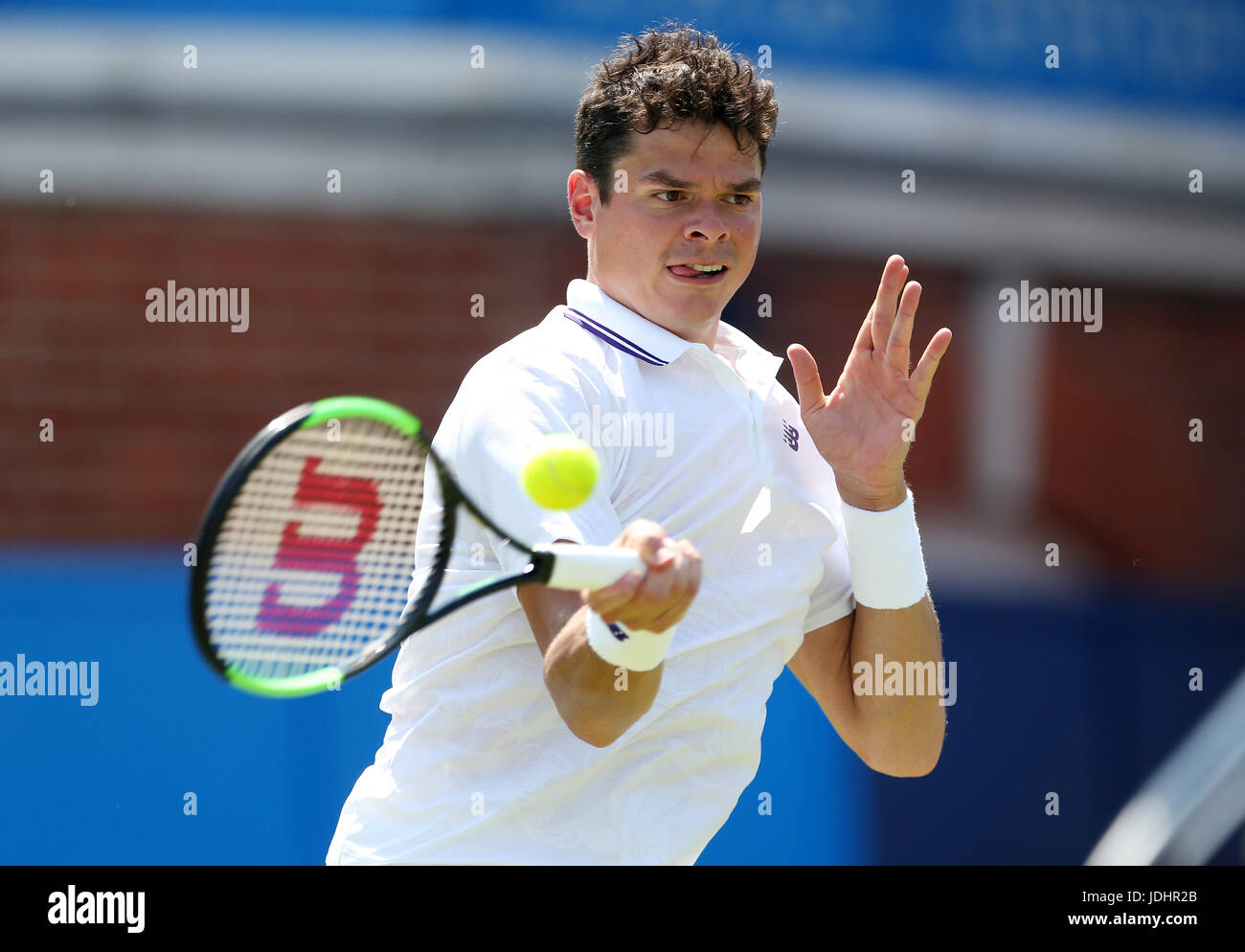 Le Milos Raonic pendant deux jours de l'AEGON Championships 2017 au Queen's Club de Londres. Banque D'Images