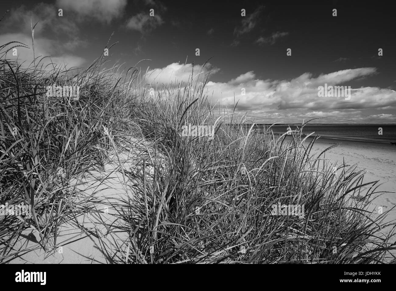 Prises en noir et blanc sur une belle journée ensoleillée avec de nombreux nuages sur la côte est de l'Ecosse à St Andrews à côté du parcours de golf. Banque D'Images