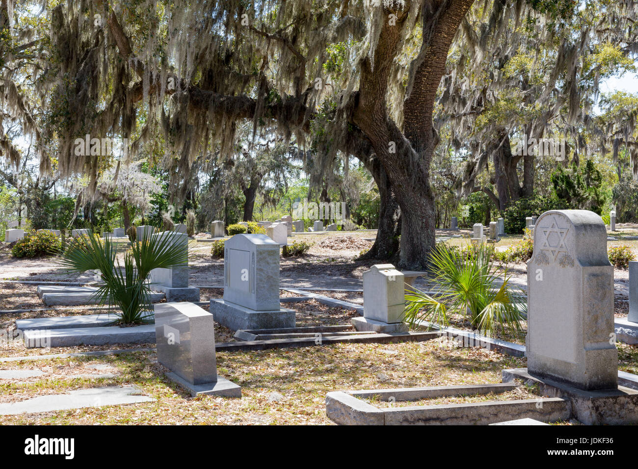 Cimetière Bonaventure historique à Savannah, GA. Pierre tombale juive avec étoile de David importante dans l'avant-plan. Grand chêne avec de l'espagnol Banque D'Images