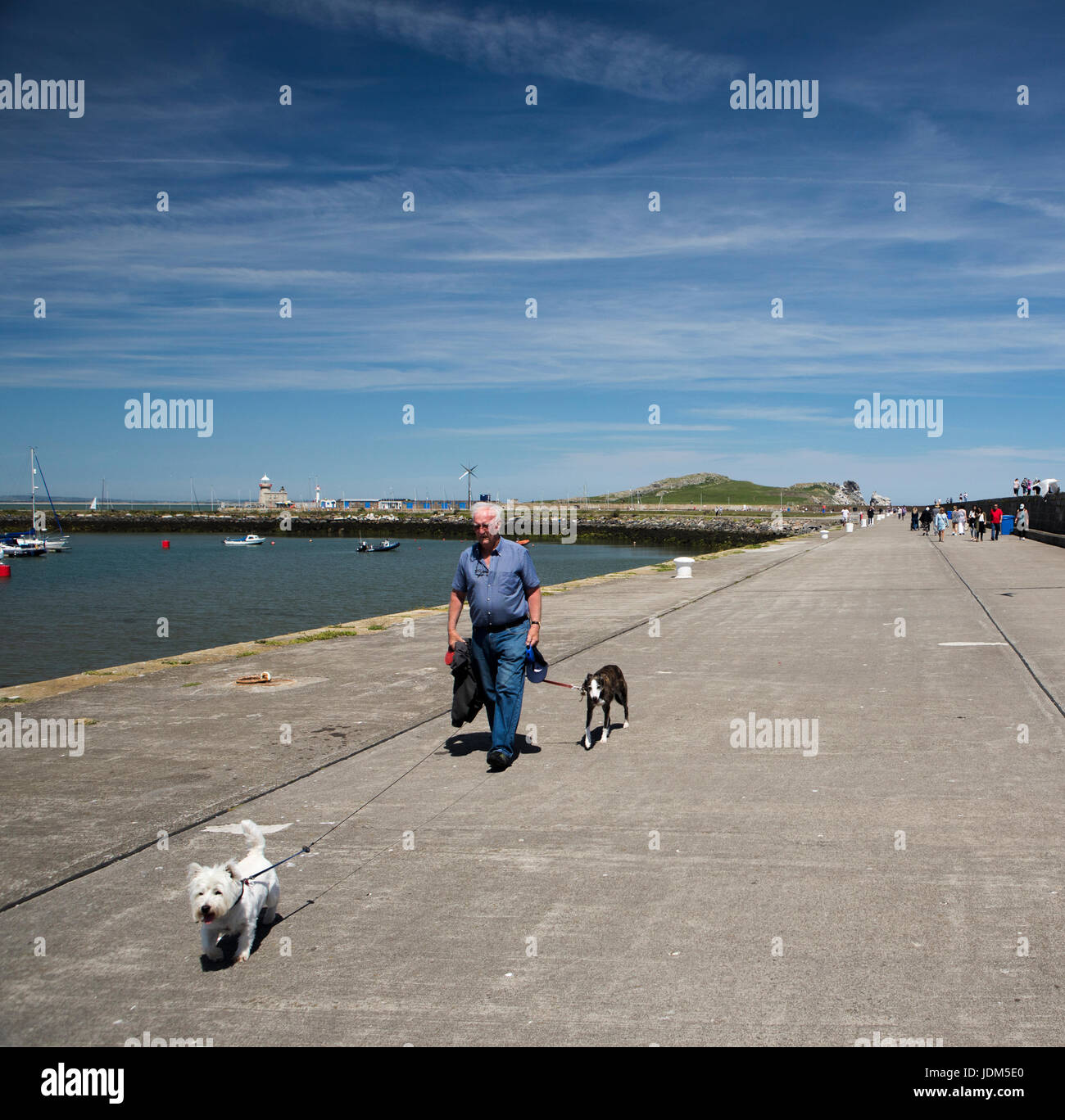 Howth, Irlande. 21 Juin, 2017. Un homme promène son chien sur une chaude journée d'été le long de la jetée de Howth dans le comté de Dublin, Irlande Crédit : Darren McLoughlin/Alamy Live News Banque D'Images