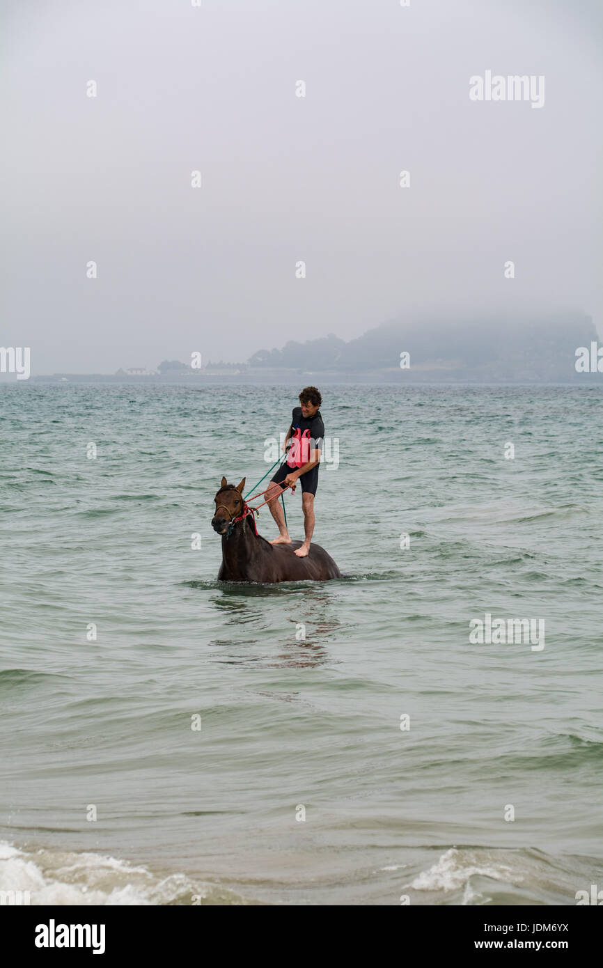 Rock long, près de Marazion, Cornwall, UK. 21 juin 2017. Météo britannique. Le soleil à Cornwall commence à venir à une fin, comme sea mist rolls dans l'ensemble de Mounts Bay. Bien qu'il faisait encore chaud, et ce couple, de Cornwall natation chevaux, apprécié de leurs chevaux dans la mer. Dans l'arrière-plan St Michaels mount obscurci par la brume. Vu ici Chris, 'hippisme' autour. Crédit : Simon Maycock/Alamy Live News Banque D'Images