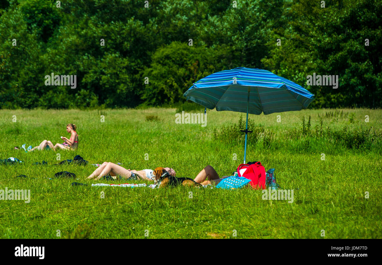 Baignoire, Claverton, Weier Warleigh. Jun 21, 2017. Météo britannique. Vague de chaleur en juin la plus chaude apporte depuis 40 ans, les gens affluent à Warleigh Weier pour vous rafraîchir. Un déversoir de 100 m de long dans un magnifique vallée de l'Avon. Pré, vieux ferry crossing étapes, s'étend de l'eau profond long. C'était une ambiance de fête à la place Credit : Chandra Prasad/Alamy Live News Banque D'Images