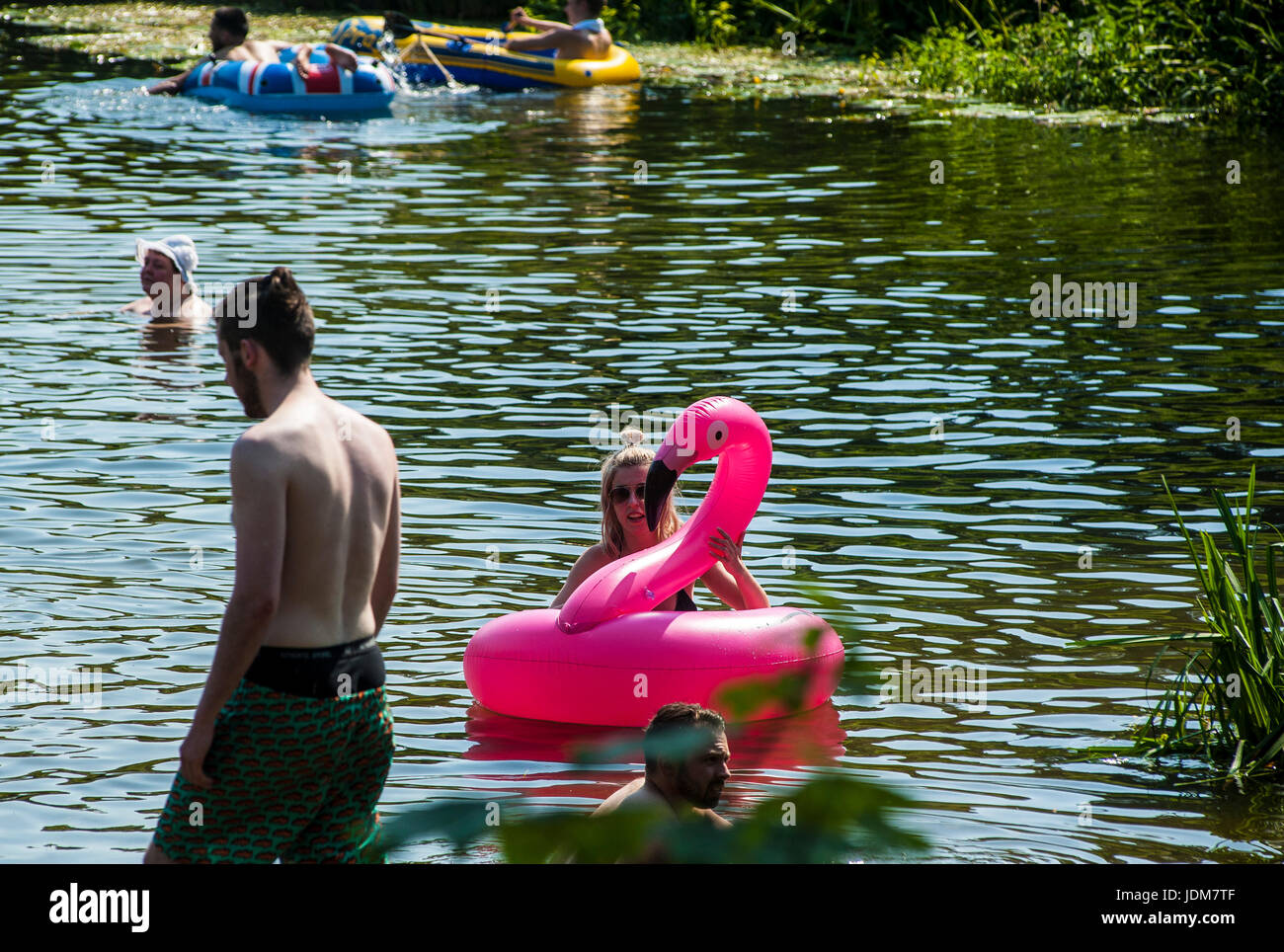 Baignoire, Claverton, Weier Warleigh. Jun 21, 2017. Météo britannique. Vague de chaleur en juin la plus chaude apporte depuis 40 ans, les gens affluent à Warleigh Weier pour vous rafraîchir. Un déversoir de 100 m de long dans un magnifique vallée de l'Avon. Pré, vieux ferry crossing étapes, s'étend de l'eau profond long. C'était une ambiance de fête à la place Credit : Chandra Prasad/Alamy Live News Banque D'Images